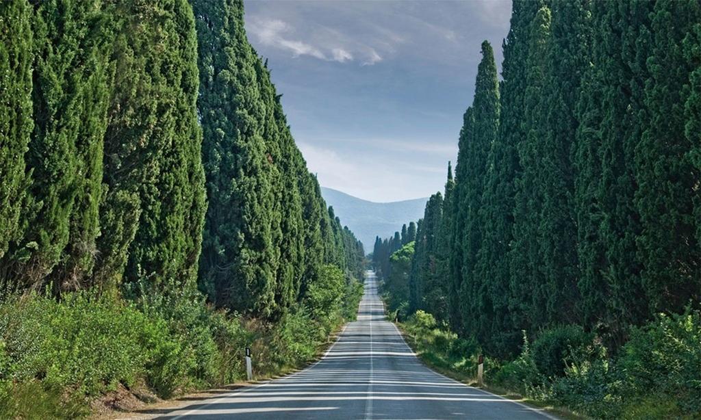 Agriturismo Ss Annunziata Сан Винченцо Екстериор снимка