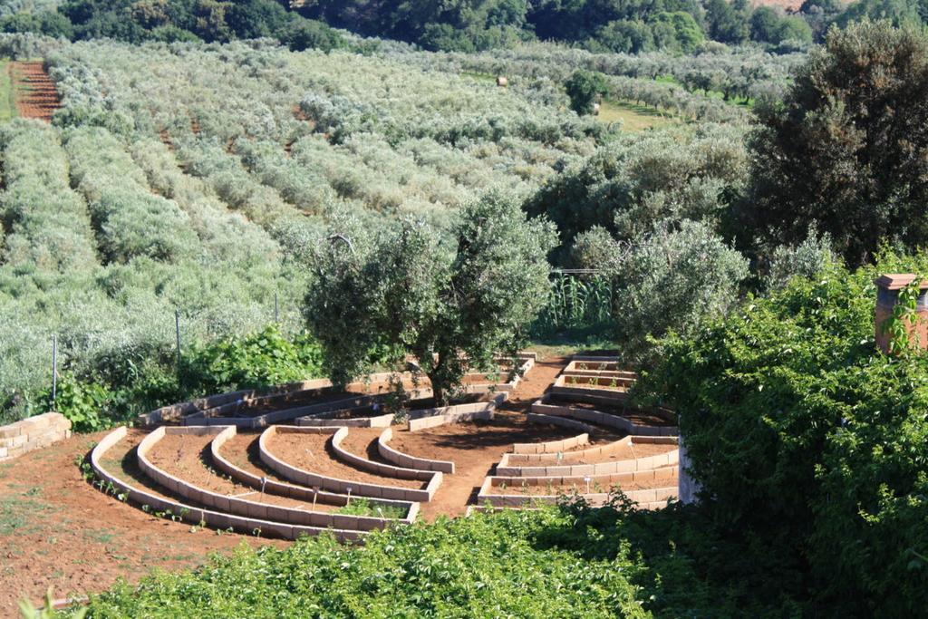 Agriturismo Ss Annunziata Сан Винченцо Екстериор снимка