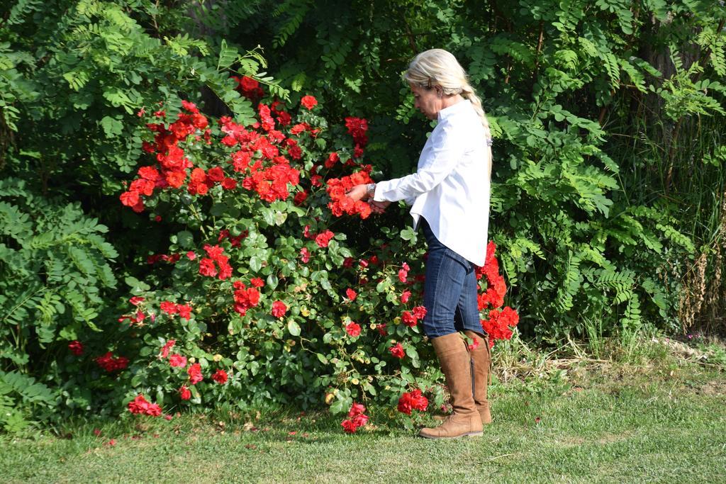 Agriturismo Ss Annunziata Сан Винченцо Екстериор снимка