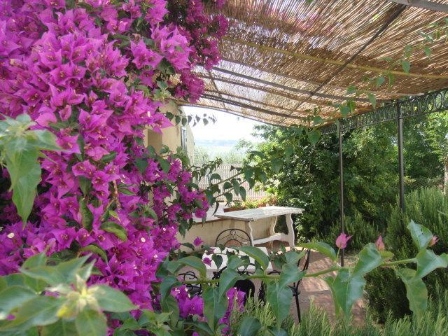 Agriturismo Ss Annunziata Сан Винченцо Екстериор снимка